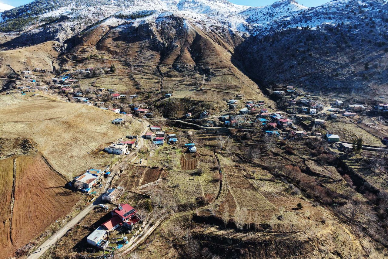 Dağdibi